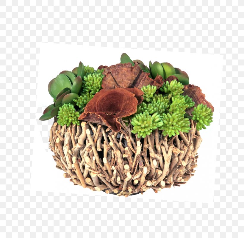 Leaf Vegetable Herb Flowerpot, PNG, 800x800px, Leaf Vegetable, Flowerpot, Herb, Superfood, Vegetable Download Free