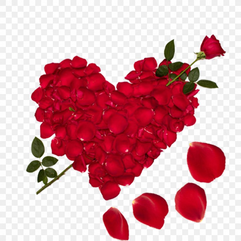 Love Girlfriend Boyfriend Friendship, PNG, 945x945px, Valentine S Day, E Card, Flower, Flowering Plant, Garden Roses Download Free