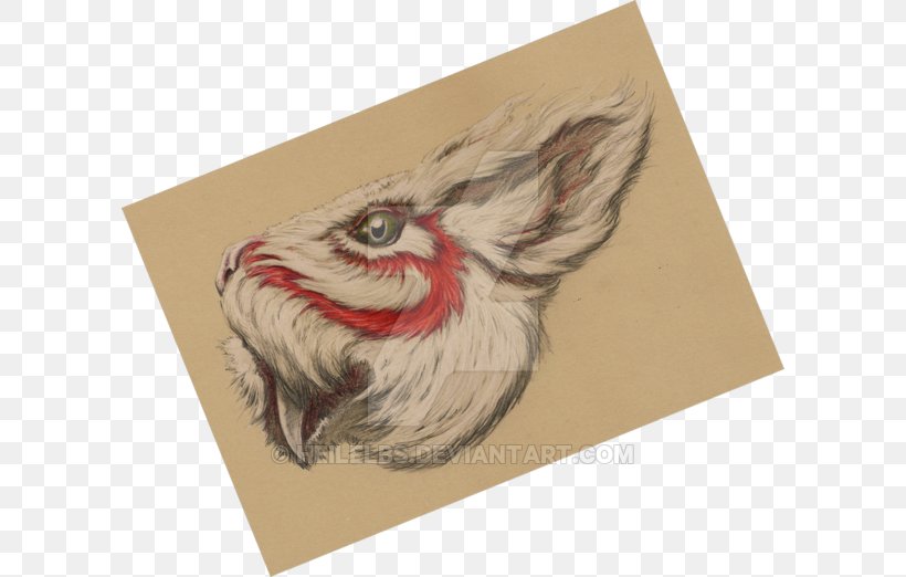 Paper Drawing Rooster /m/02csf, PNG, 600x522px, Paper, Carnivora, Carnivoran, Chicken, Drawing Download Free