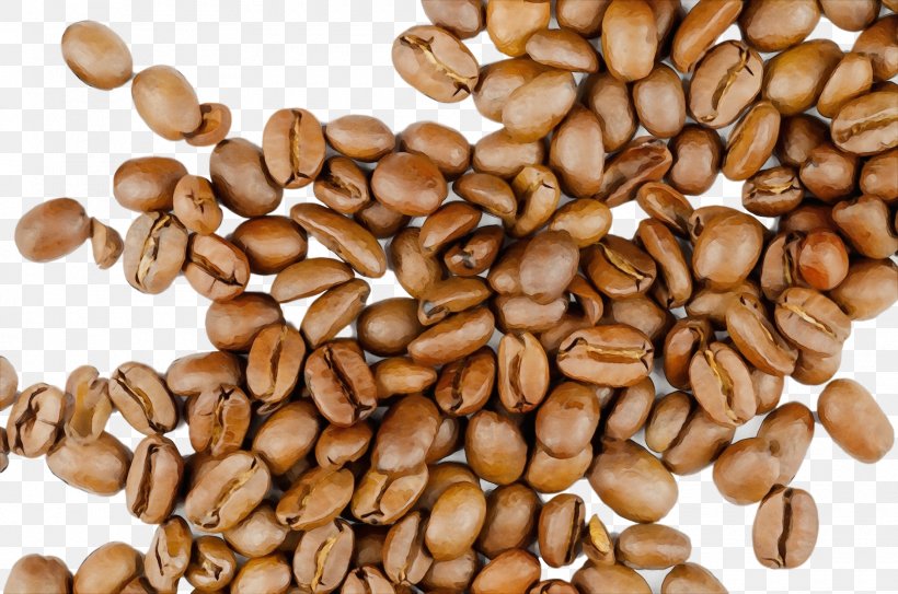 Plant Food Ingredient Seed Java Coffee, PNG, 1880x1245px, Watercolor, Food, Ingredient, Java Coffee, Paint Download Free