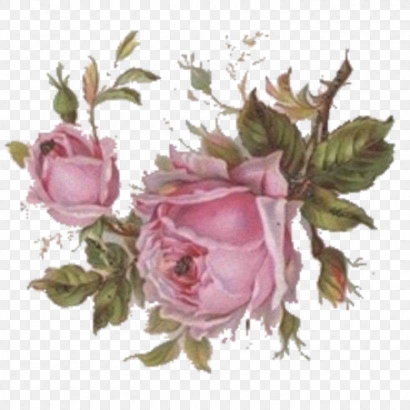 Centifolia Roses Paper Flower Pink Garden Roses, PNG, 1500x1500px, Centifolia Roses, Artificial Flower, Birthday, Blue, Cut Flowers Download Free