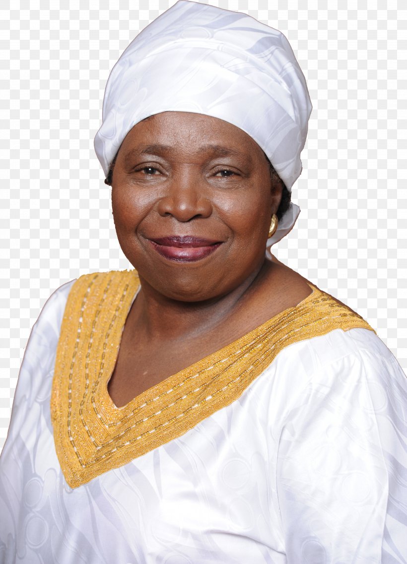 Nkosazana Dlamini-Zuma South Africa Chairperson Of The African Union Commission, PNG, 2832x3919px, Nkosazana Dlaminizuma, Africa, African National Congress, African Union, African Union Commission Download Free