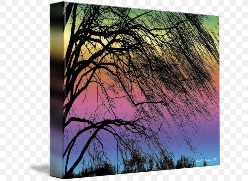 Weeping Willow Tree Painting Shrub, PNG, 650x599px, Weeping Willow, Art, Branch, Canvas, Grass Download Free
