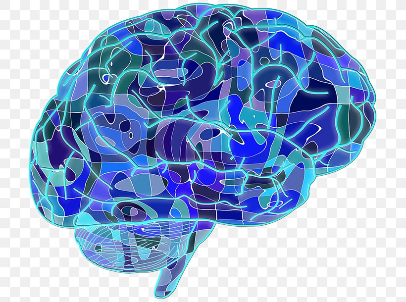 Blue Brain Project Neuron Human Brain Neuroscience, PNG, 709x610px, Watercolor, Cartoon, Flower, Frame, Heart Download Free