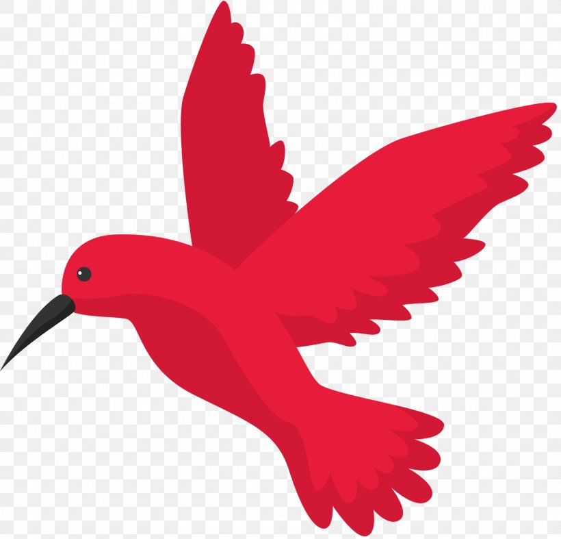 Google Hummingbird Search Engine Optimization Flight, PNG, 1600x1537px, Bird, Algorithm, Beak, Digital Marketing, Fauna Download Free