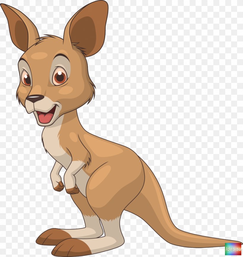 Kangaroo Cartoon Clip Art, PNG, 1000x1059px, Kangaroo, Boxing Kangaroo, Carnivoran, Cartoon, Cat Like Mammal Download Free