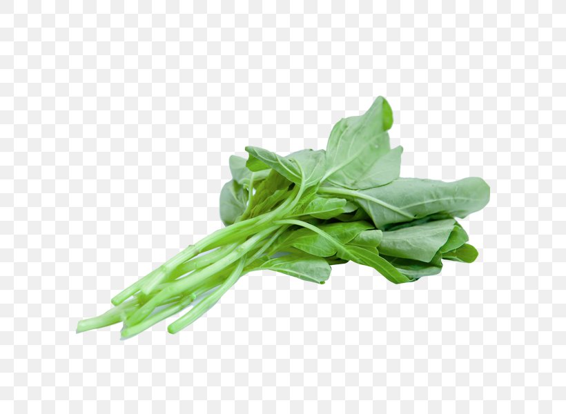 Spinach Salad Indian Cuisine Vegetarian Cuisine, PNG, 600x600px, Spinach Salad, Basil, Chard, Choy Sum, Food Download Free