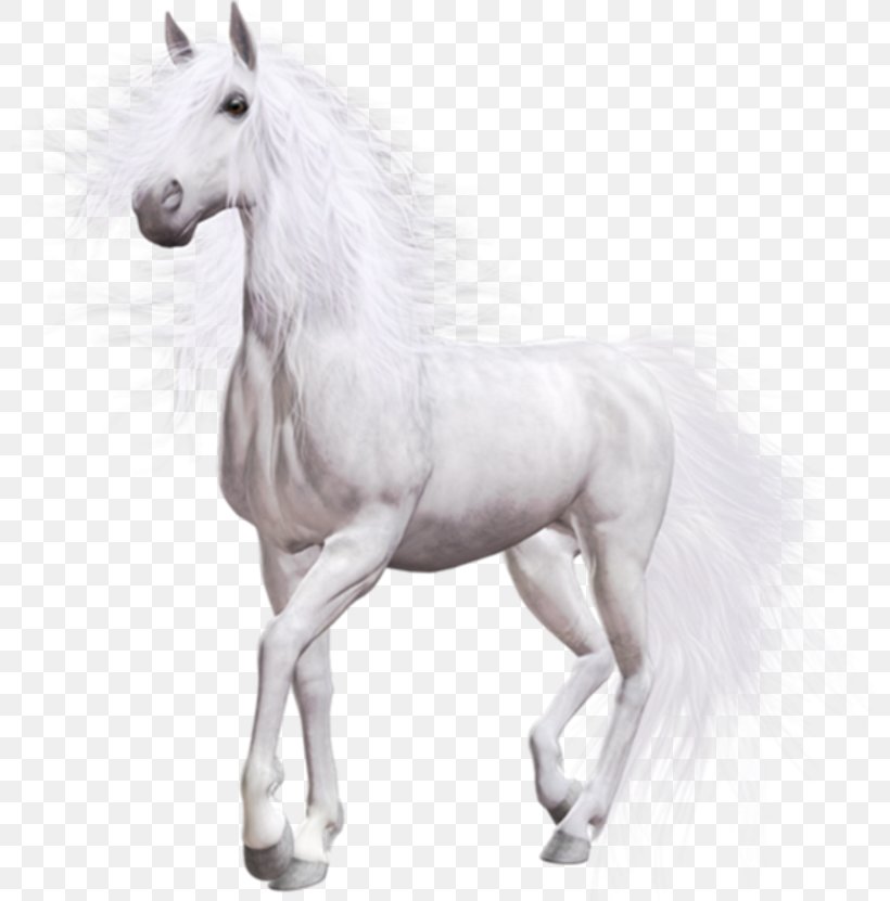 White Horse Desktop Wallpaper Clip Art, PNG, 800x831px, Horse, Android, Animal Figure, Black And White, Foal Download Free