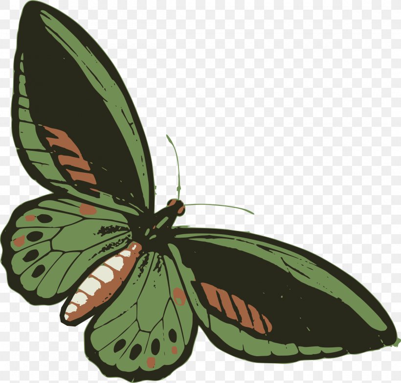 Butterfly Insect Green Drawing Sticker, PNG, 2400x2300px, Butterfly, Aglais Io, Arthropod, Bluegreen, Brush Footed Butterfly Download Free