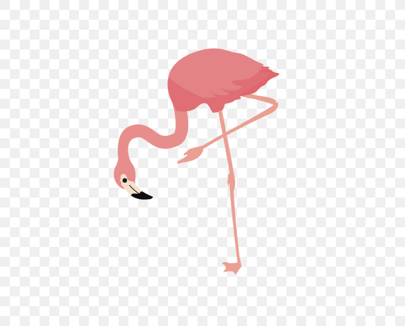 Flamingo, PNG, 560x660px, Flamingo, Bird, Greater Flamingo, Pink, Stork Download Free