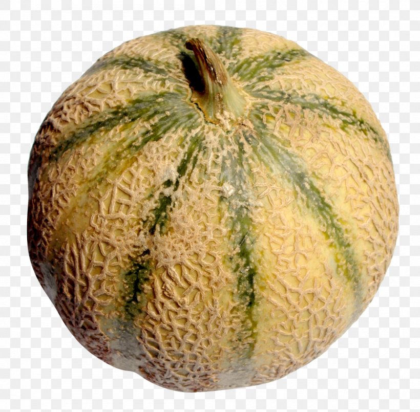 Honeydew Cantaloupe Galia Melon, PNG, 1053x1034px, Honeydew, Cantaloupe, Commodity, Cucumber, Cucumber Gourd And Melon Family Download Free