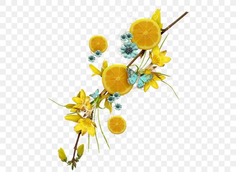 Lemon Fruit Auglis Flower, PNG, 500x599px, Lemon, Auglis, Citrus, Cut Flowers, Flora Download Free