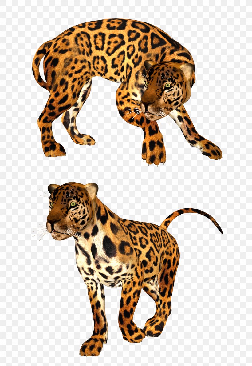 Leopard Cheetah Tiger Lion Felidae, PNG, 1505x2183px, Leopard, Animal, Animal Figure, Big Cats, Carnivoran Download Free