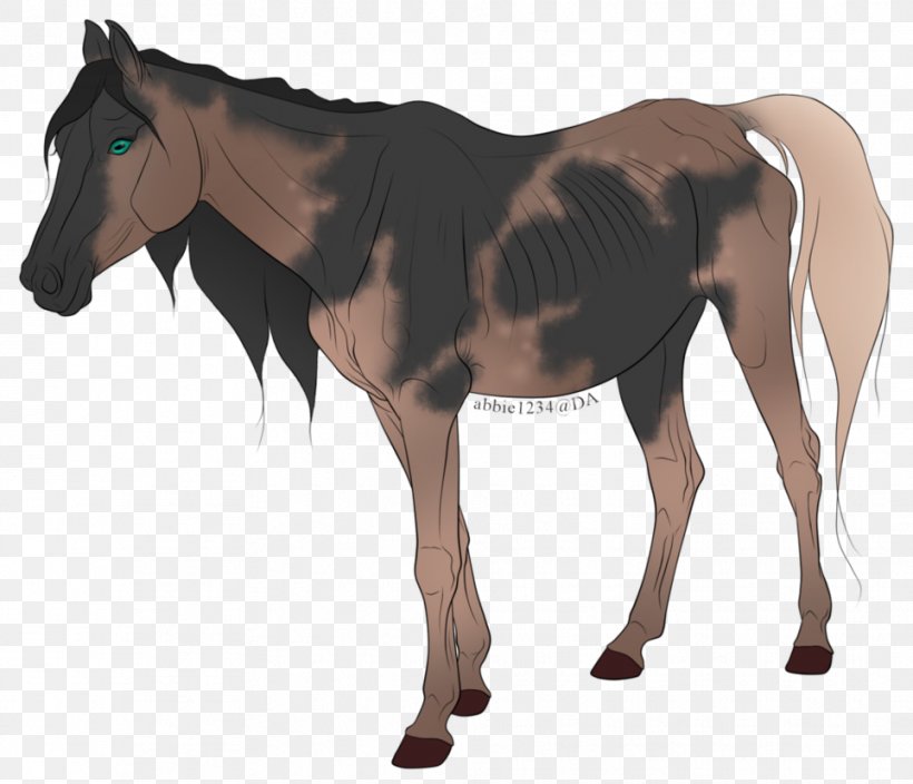 Mule Foal Stallion Mare Colt, PNG, 964x828px, Mule, Bridle, Colt, Foal, Halter Download Free