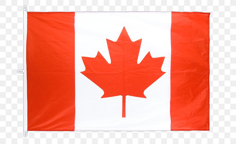 National Flag Of Canada Day Maple Leaf, PNG, 750x500px, Canada, Canada Day, Clothing, Flag, Flag Of Canada Download Free