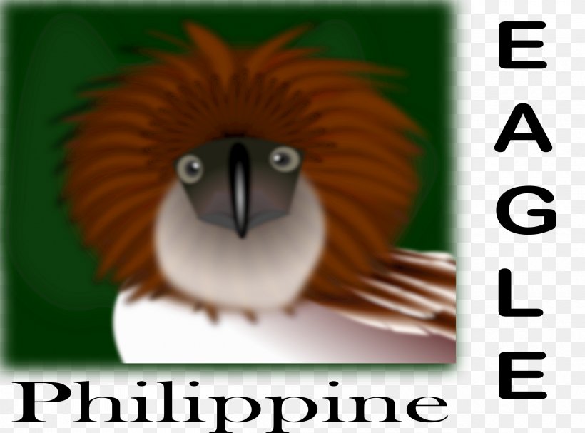 Philippines Bald Eagle Philippine Eagle Clip Art, PNG, 2400x1777px, Philippines, Bald Eagle, Beak, Bird, Cartoon Download Free