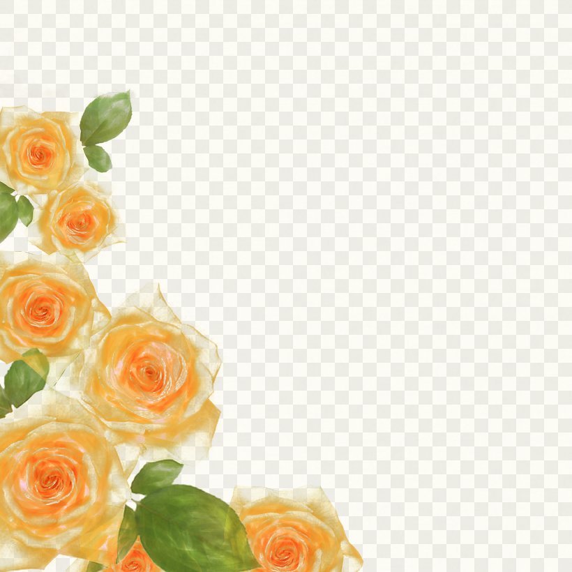 Rose Watercolor Floral Border Albums, PNG, 4200x4200px, Flower, Cut Flowers, Drawing, Floral Design, Floristry Download Free