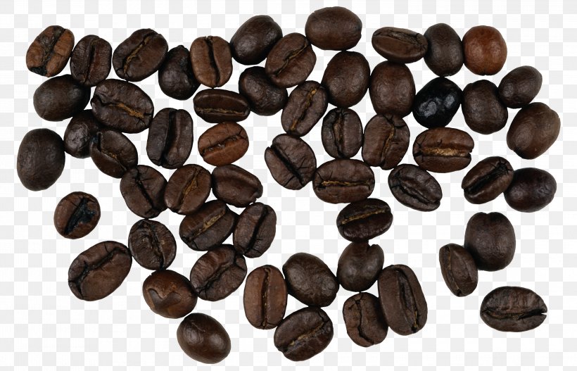 Turkish Coffee Cappuccino Latte Coffee Bean, PNG, 3000x1931px, Coffee, Arabica Coffee, Bean, Cappuccino, Cocoa Bean Download Free