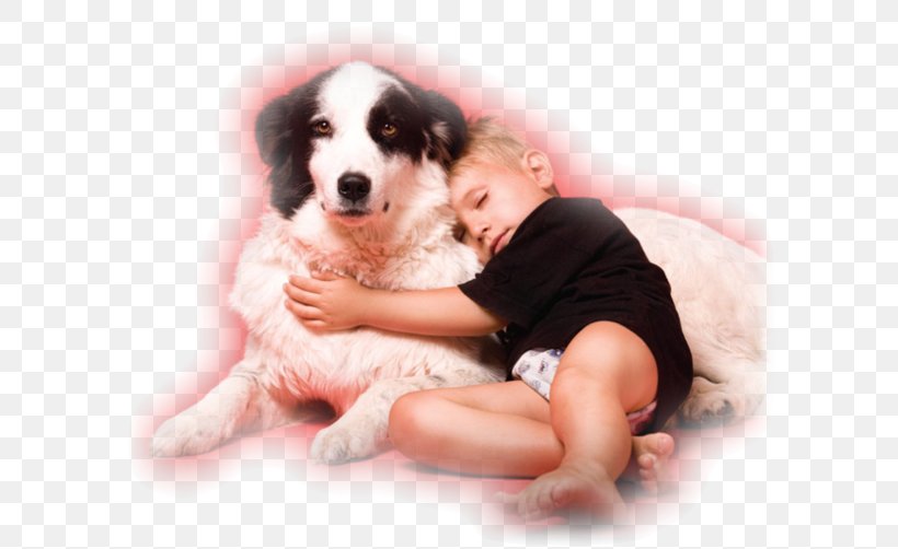 Dog Breed Puppy Child, PNG, 600x502px, Dog, Animal, Animal Rescue Group, Calendar, Carnivoran Download Free