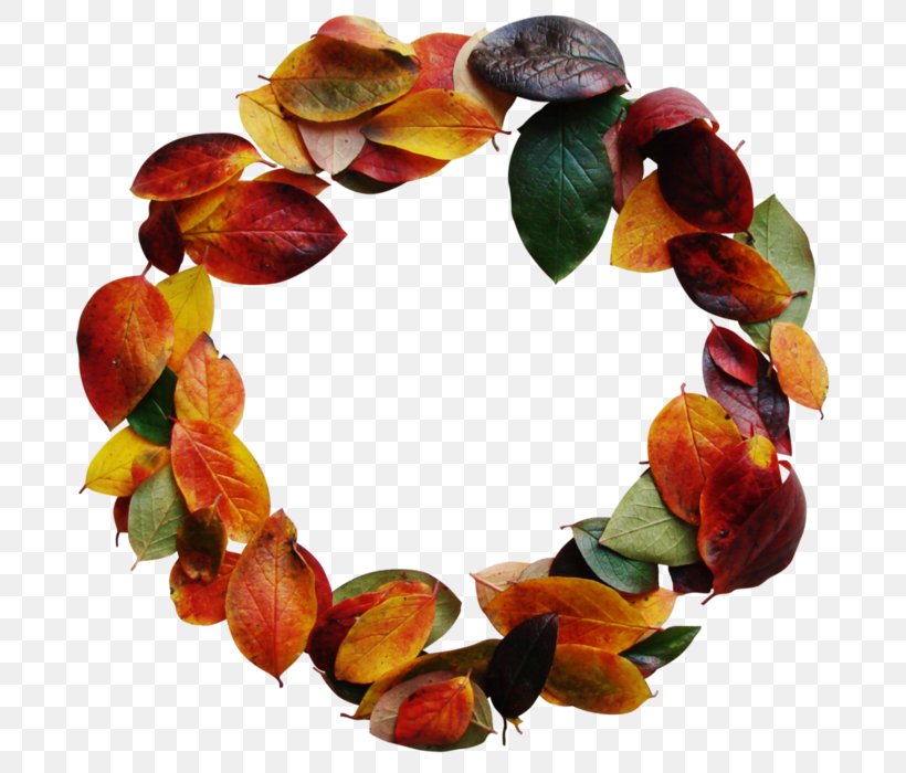 Maple Leaf Autumn Clip Art, PNG, 700x700px, Maple Leaf, Autumn, Basket, Cage, Jewellery Download Free