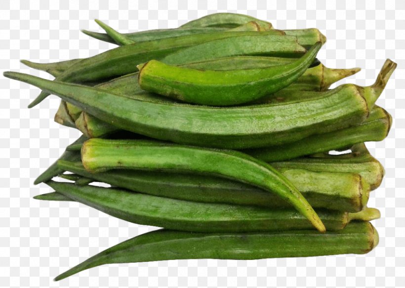 Okra Vegetarian Cuisine Vegetable Luffa, PNG, 850x605px, Okra, Broccoflower, Cucumber, Cucumber Gourd And Melon Family, Cucurbita Pepo Var Cylindrica Download Free