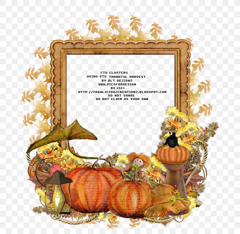 Thanksgiving Pumpkin Picture Frames Flower, PNG, 800x800px, Thanksgiving, Flower, Picture Frame, Picture Frames, Pumpkin Download Free