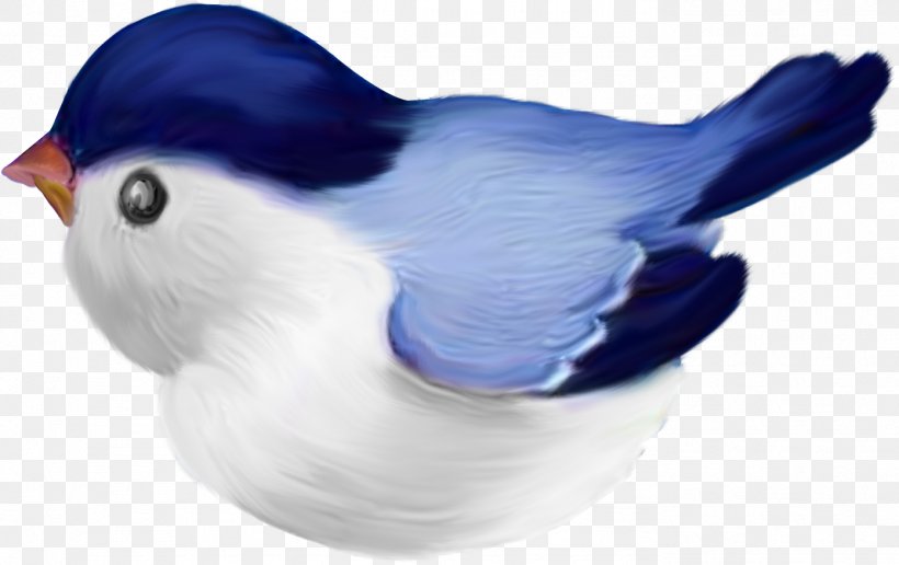 Bird Drawing Desktop Wallpaper Clip Art, PNG, 1392x876px, Bird, Beak, Christmas, Cobalt Blue, Digital Image Download Free
