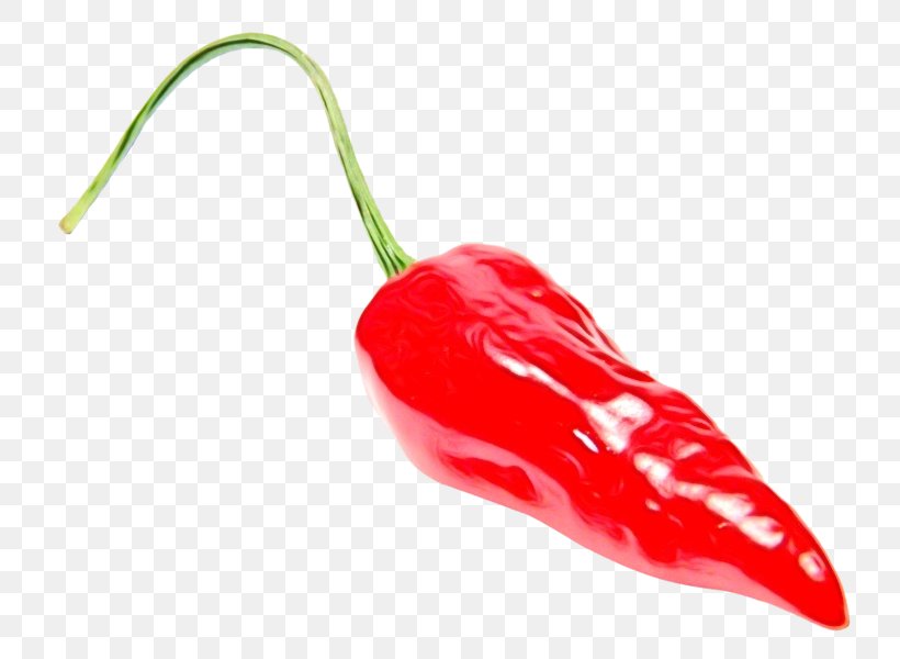 Chili Pepper Malagueta Pepper Tabasco Pepper Bell Peppers And Chili Peppers Piquillo Pepper, PNG, 800x600px, Watercolor, Bell Peppers And Chili Peppers, Chili Pepper, Habanero Chili, Malagueta Pepper Download Free