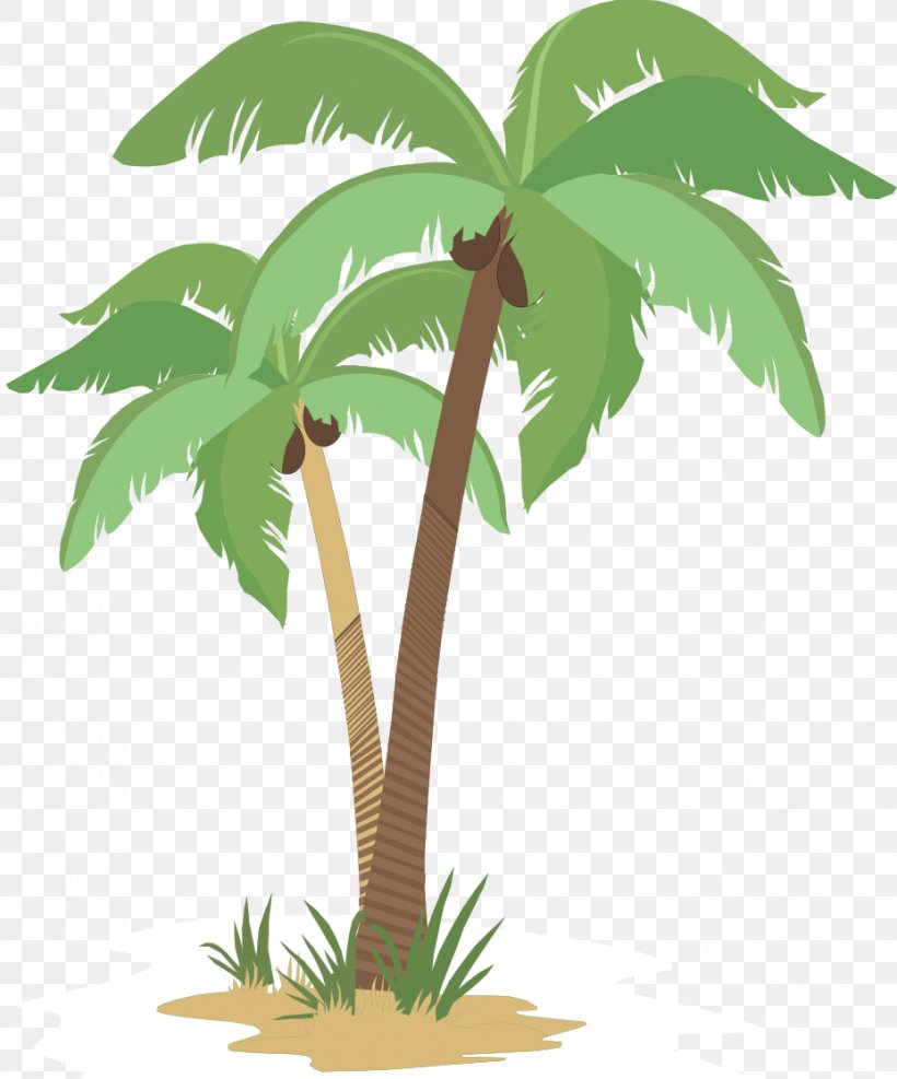Coconut Arecaceae Flowerpot Tree Plant Stem, PNG, 928x1117px, Coconut, Arecaceae, Arecales, Flowering Plant, Flowerpot Download Free