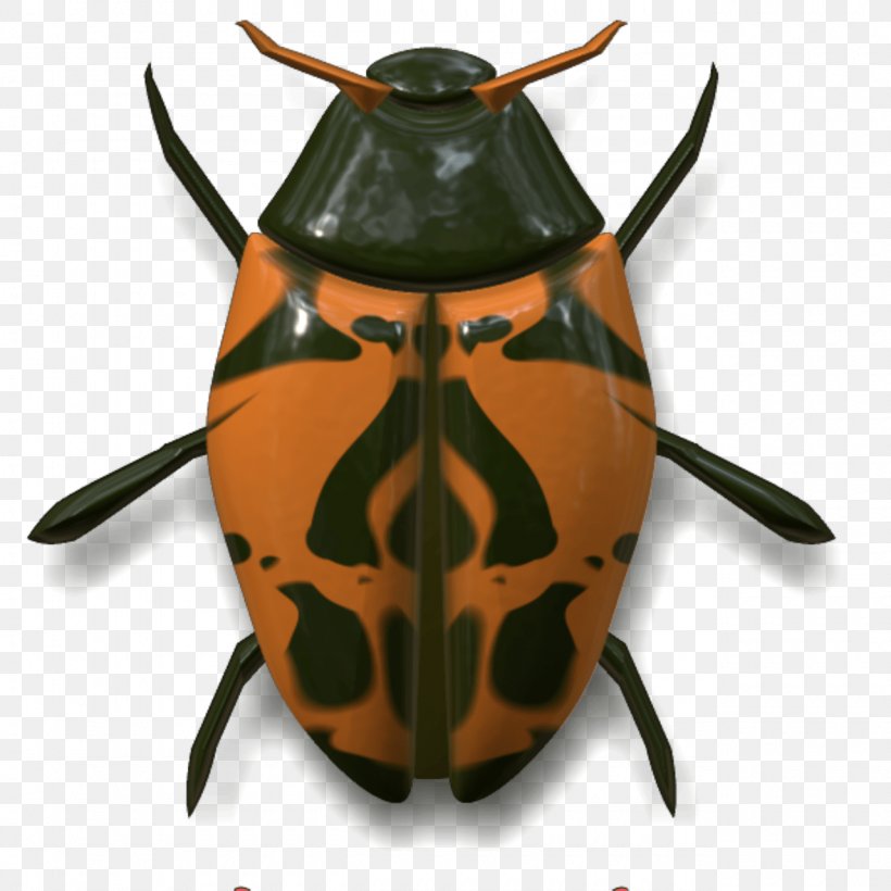 Insect Animal Arthropod, PNG, 1280x1280px, Insect, Animal, Arthropod, Banco De Imagens, Beetle Download Free