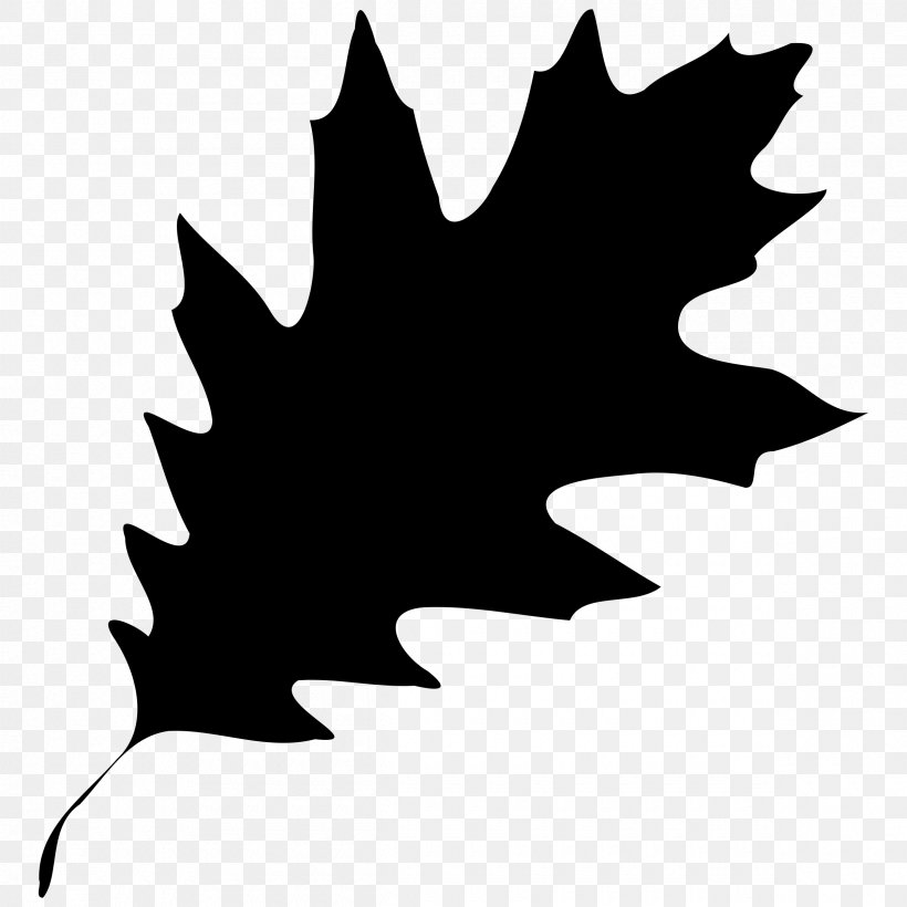 Leaf Image Vector Graphics, PNG, 2400x2400px, Leaf, Autumn, Black, Blackandwhite, Holly Download Free