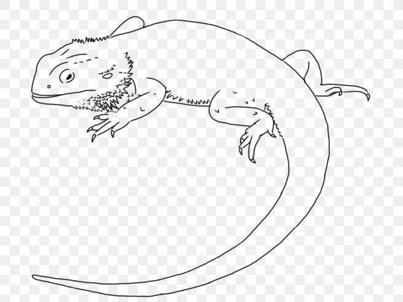 Lizard Drawing Central Bearded Dragon Line Art Clip Art, PNG, 1024x768px, Lizard, Amphibian, Animal Figure, Area, Art Download Free