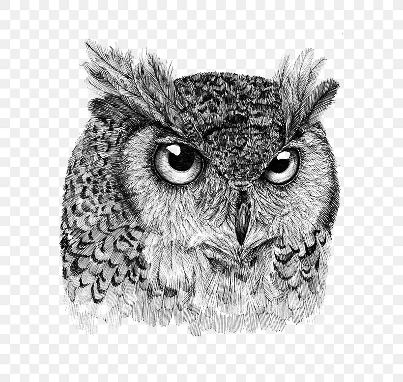 Owl /m/02csf Drawing Beak Wildlife, PNG, 600x777px, Owl, Beak, Bird, Bird Of Prey, Black And White Download Free