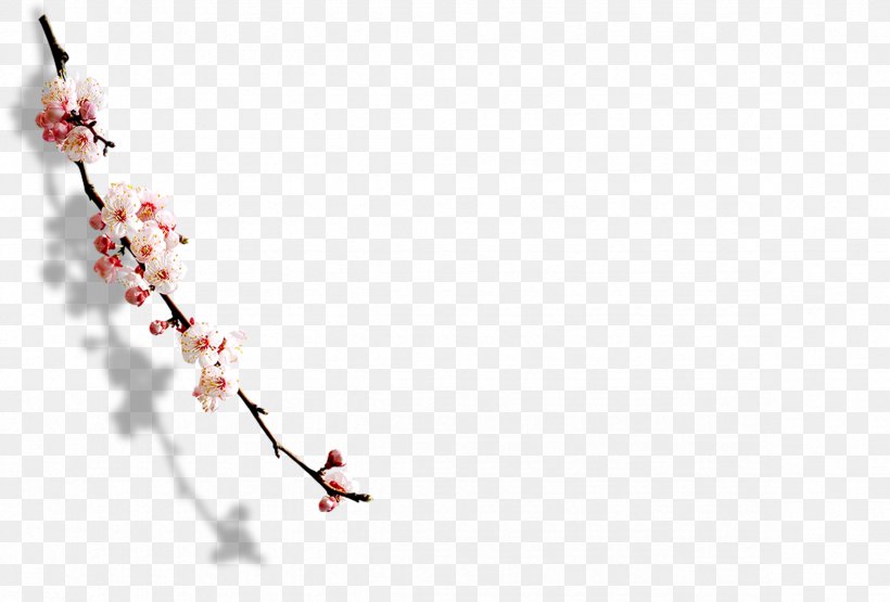 Plum Blossom Computer Software, PNG, 2362x1600px, Plum Blossom, Art, Blossom, Blue, Branch Download Free