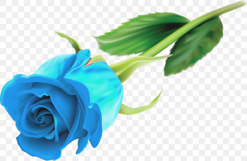Rose Flower Desktop Wallpaper, PNG, 1600x1046px, Rose, Blue, Blue Rose,  Bud, Cut Flowers Download Free