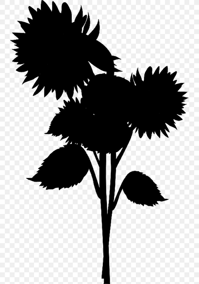 Royalty-free Stock Illustration Vector Graphics Photograph, PNG, 735x1168px, Royaltyfree, Blackandwhite, Botany, Copyright, Daisy Family Download Free