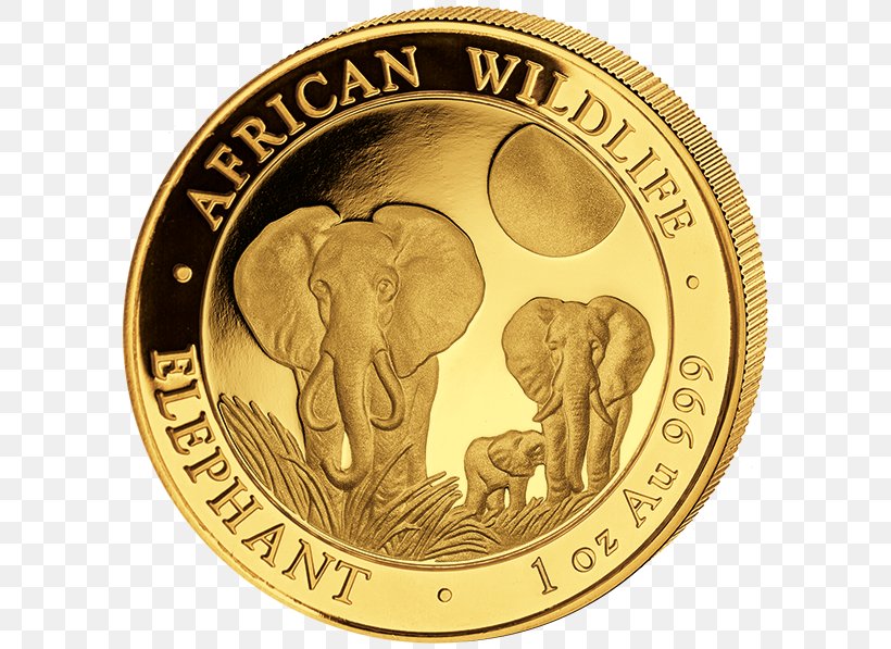 African Elephant Somalia Elephantidae Gold Coin, PNG, 600x597px, African Elephant, Bullion, Bullion Coin, Cash, Coin Download Free