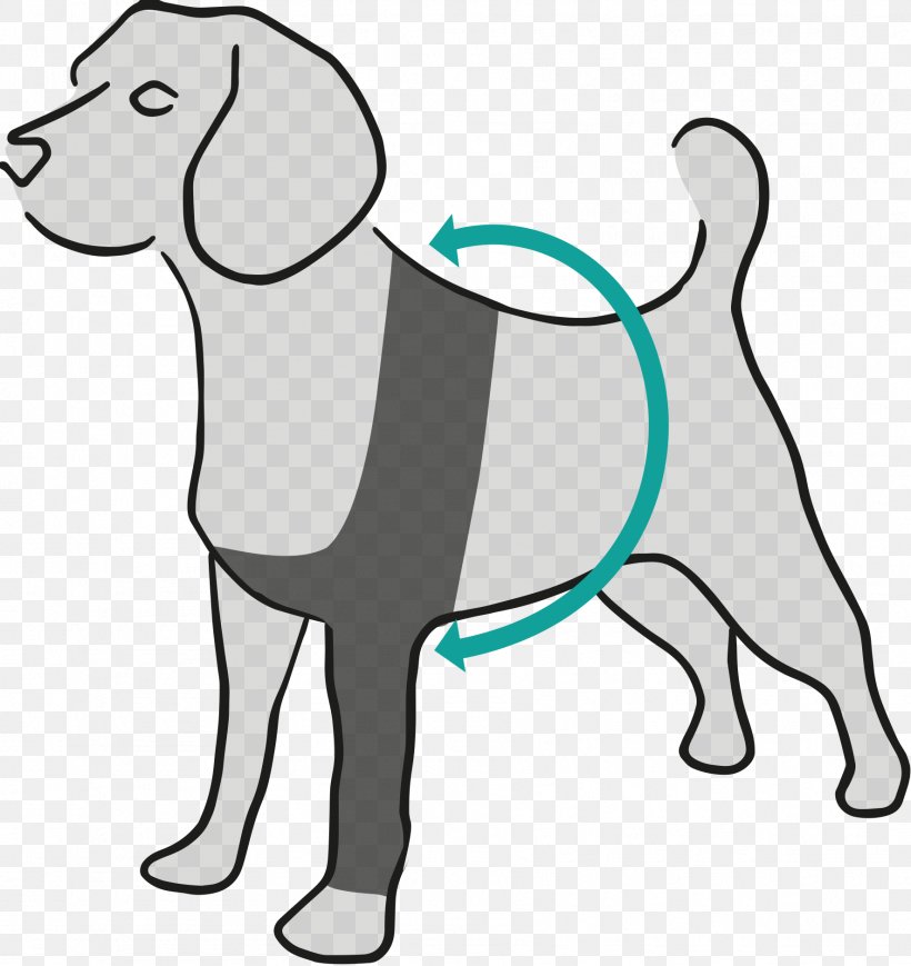 Dog Breed Amazon.com Suitical Dog Recovery Sleeve Large Black, PNG, 1772x1878px, Dog Breed, Amazoncom, Area, Artwork, Black And White Download Free