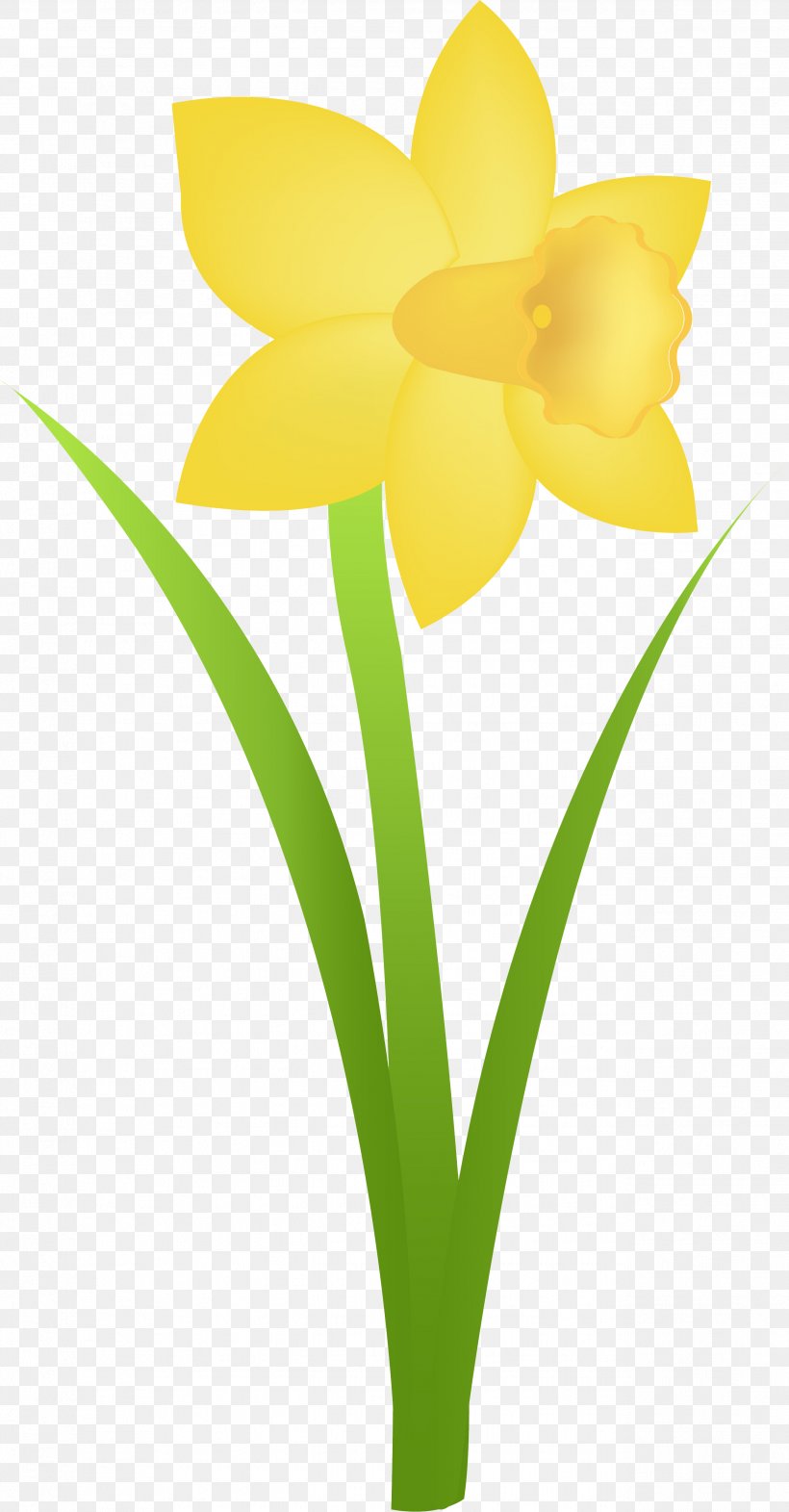 Flowerpot Tulip Daffodil Clip Art, PNG, 2579x4944px, Flower, Amaryllis Family, Bulb, Container, Cut Flowers Download Free