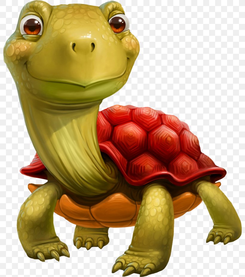 Turtle Cartoon Download Clip Art, PNG, 800x927px, 3d Computer Graphics,  Turtle, Amphibian, Animaatio, Animated Film Download