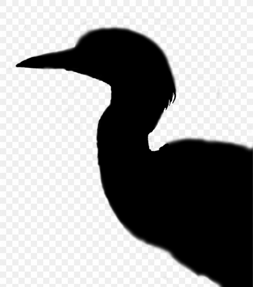 Cygnini Goose Beak Duck Water Bird, PNG, 1024x1162px, Cygnini, Beak, Bird, Blackandwhite, Duck Download Free