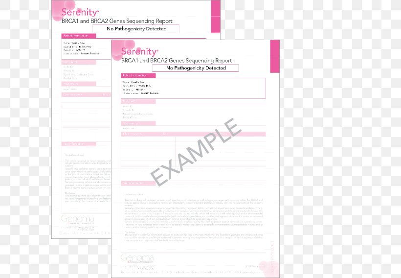 Document Pink M Line RTV Pink Brand, PNG, 610x568px, Document, Brand, Magenta, Paper, Pink Download Free