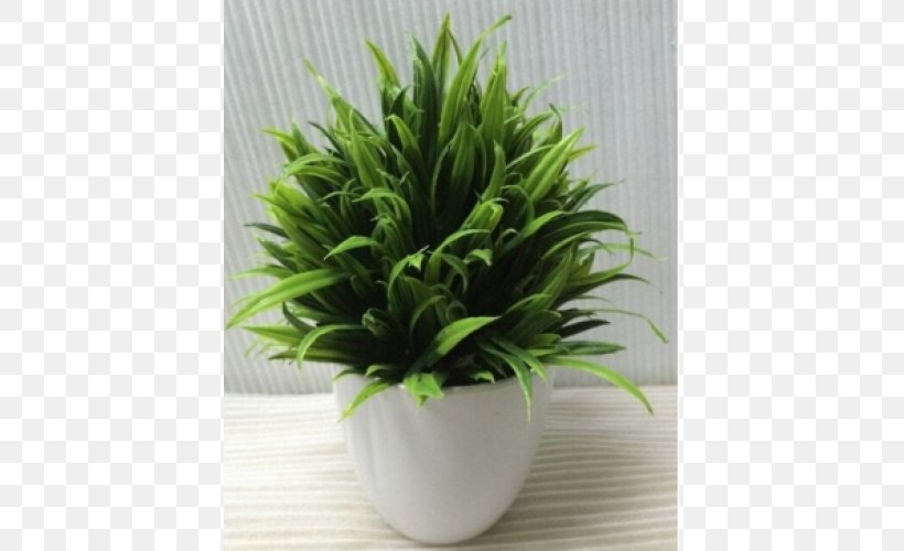 Houseplant Flowerpot, PNG, 500x500px, Houseplant, Evergreen, Flowerpot, Grass, Plant Download Free