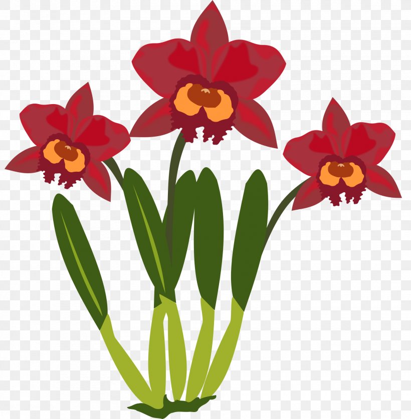 Orchids Clip Art Flowering Plant Christmas Orchid, PNG, 1880x1920px, Orchids, Amaryllis Family, American Orchid Society, Cattleya Orchids, Cattleya Walkeriana Download Free