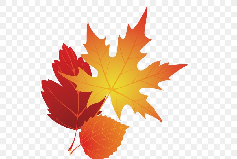 Autumn Leaf Color Clip Art, PNG, 537x552px, Autumn, Autumn Leaf Color, Blog, Drawing, Flowering Plant Download Free