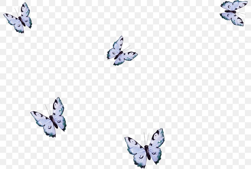 Butterfly Borboleta Insect M / 0d Painting, PNG, 800x553px, Butterfly, Borboleta, Color, Fictional Character, History Download Free