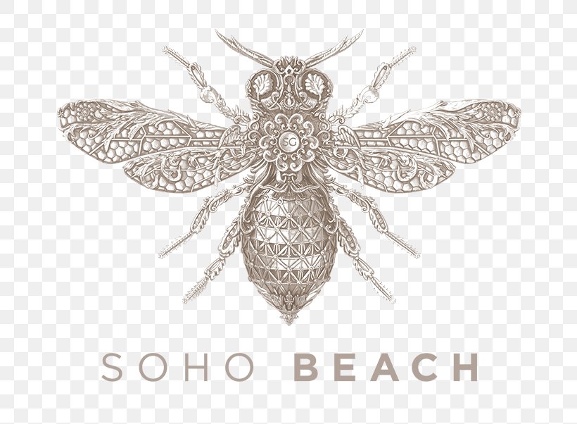 Soho Garden DXB SoHo Beach DXB ANTS 2018 Nightclub, PNG, 744x602px, Beach, Arthropod, Bar, Bee, Brooch Download Free
