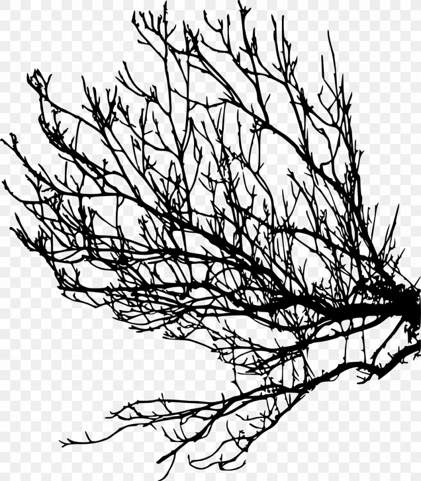 Branch Tree Twig Clip Art, PNG, 1035x1182px, Branch, Artwork, Black And White, Flora, Flower Download Free