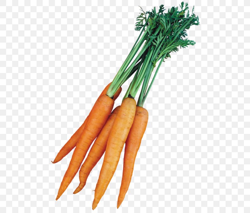 Carrot Vegetable Presentation Clip Art, PNG, 508x700px, Carrot, Baby Carrot, Celeriac, Digital Image, Food Download Free