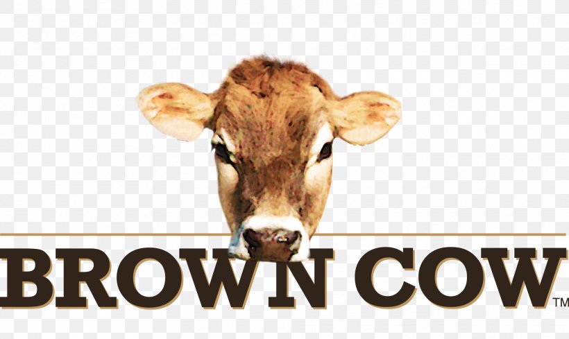 Cream Milk Brown Cow Yoghurt Organic Food, PNG, 2024x1207px, Cream, Brown Cow, Cattle Like Mammal, Cow Goat Family, Dairy Cow Download Free